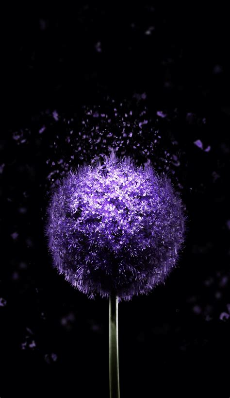 amoled wallpapers|wallpapers 4k oled.